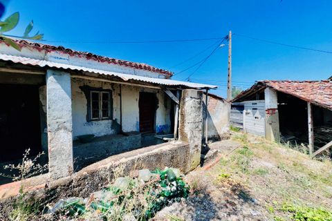 Villa a Sardoal, Santarem, Sardoal - € 35.000 | Ref: VCP353 - foto 16