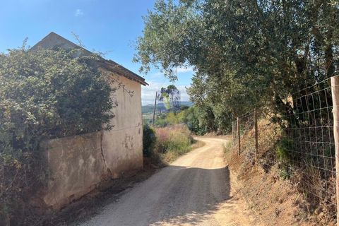 Helårsgrund i Alenquer, Lisbon, Alenquer - € 79.900 | Ref: ALVER-123463 - foto 11