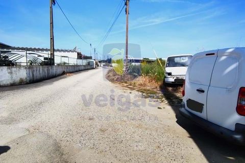 Helårsgrund i Sintra, Lisbon, Sintra - € 199.500 | Ref: ALVER-212618 - foto 2