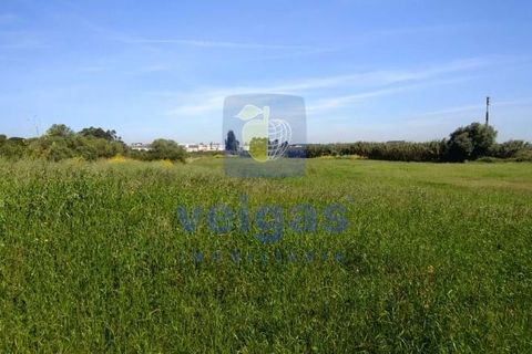 Helårsgrund i Sintra, Lisbon, Sintra - € 199.500 | Ref: ALVER-212618 - foto 7