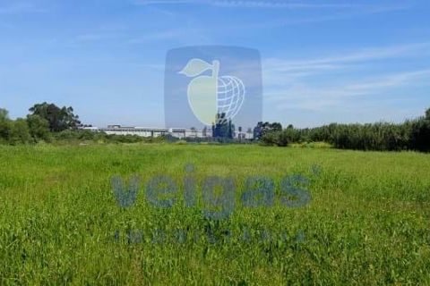 Helårsgrund i Sintra, Lisbon, Sintra - € 199.500 | Ref: ALVER-212618 - foto 10