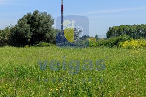 Helårsgrund i Sintra, Lisbon, Sintra - € 199.500 | Ref: ALVER-212618 - foto 11