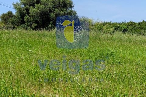 Helårsgrund i Sintra, Lisbon, Sintra - € 199.500 | Ref: ALVER-212618 - foto 12
