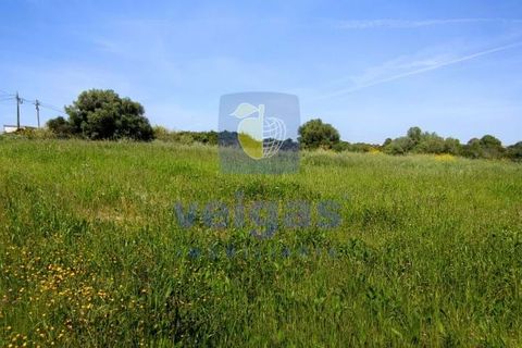 Helårsgrund i Sintra, Lisbon, Sintra - € 199.500 | Ref: ALVER-212618 - foto 13