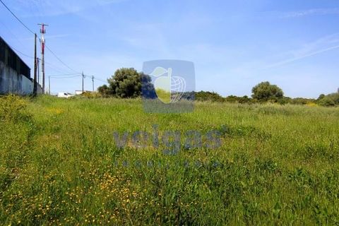 Helårsgrund i Sintra, Lisbon, Sintra - € 199.500 | Ref: ALVER-212618 - foto 14