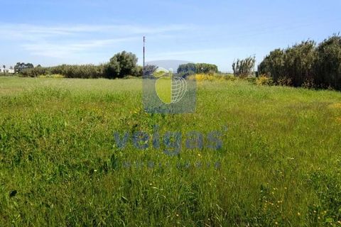 Helårsgrund i Sintra, Lisbon, Sintra - € 199.500 | Ref: ALVER-212618 - foto 15