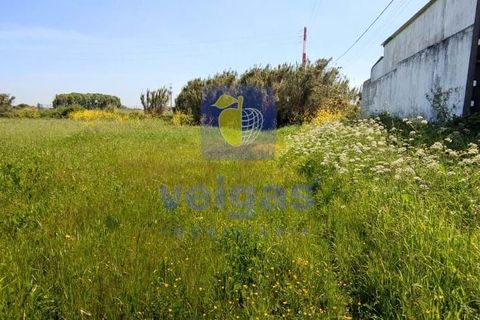 Helårsgrund i Sintra, Lisbon, Sintra - € 199.500 | Ref: ALVER-212618 - foto 16