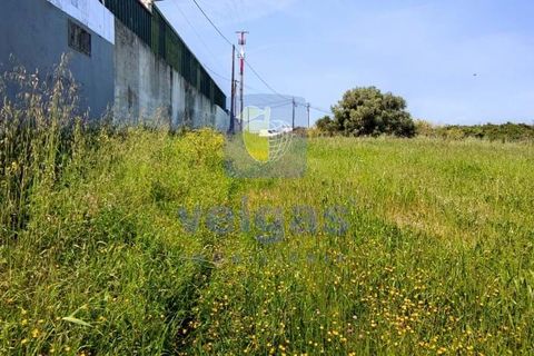 Helårsgrund i Sintra, Lisbon, Sintra - € 199.500 | Ref: ALVER-212618 - foto 17