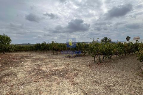 Helårsgrund i Alenquer, Lisbon, Alenquer - € 69.900 | Ref: ALVER-123466 - foto 11