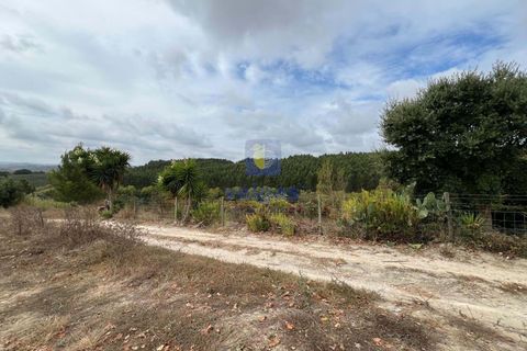 Helårsgrund i Alenquer, Lisbon, Alenquer - € 69.900 | Ref: ALVER-123466 - foto 12