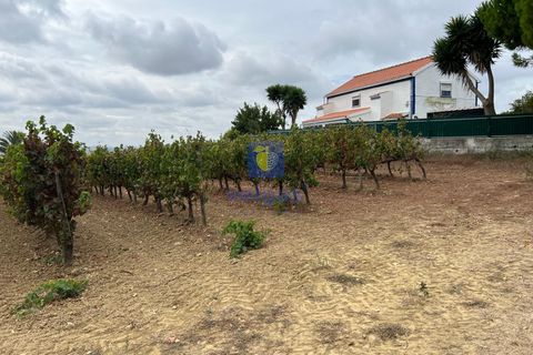 Helårsgrund i Alenquer, Lisbon, Alenquer - € 69.900 | Ref: ALVER-123466 - foto 23
