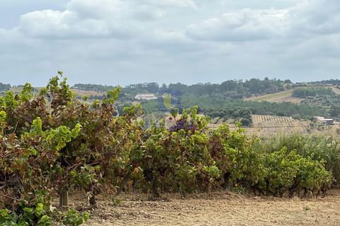 Helårsgrund i Alenquer, Lisbon, Alenquer - € 69.900 | Ref: ALVER-123466 - foto 24