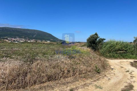 Helårsgrund i Alenquer, Lisbon, Alenquer - € 79.900 | Ref: ALVER-123467 - foto 8