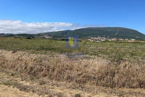 Helårsgrund i Alenquer, Lisbon, Alenquer - € 79.900 | Ref: ALVER-123467 - foto 13