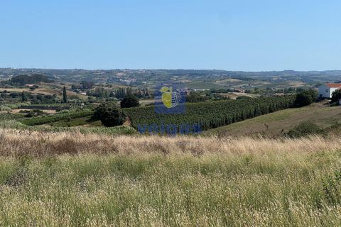 Helårsgrund i Alenquer, Lisbon, Alenquer - € 79.900 | Ref: ALVER-123467 - foto 15