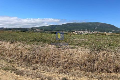 Helårsgrund i Alenquer, Lisbon, Alenquer - € 79.900 | Ref: ALVER-123467 - foto 19