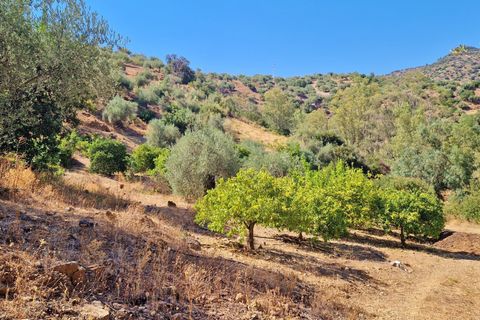 Masia a Comares, Malaga, Comares - € 295.000 | Ref: AX1333 - foto 34