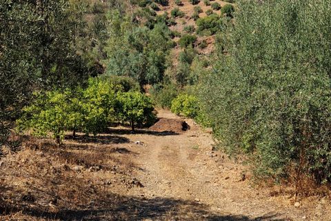 Masia a Comares, Malaga, Comares - € 295.000 | Ref: AX1333 - foto 32