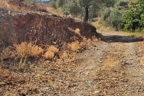 Masia a Comares, Malaga, Comares - € 295.000 | Ref: AX1333 - foto 30