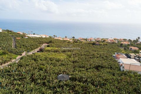 Helårsgrund i Calheta, Madeira, Calheta - € 360.000 | Ref: 22-1012 - foto 3