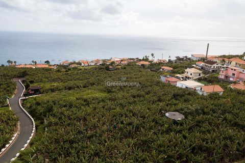 Helårsgrund i Calheta, Madeira, Calheta - € 360.000 | Ref: 22-1012 - foto 5