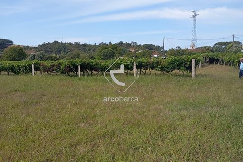 Helårsgrund i Moncao, Viana do Castelo, Moncao - € 100.000 | Ref: AV6110 - foto 5