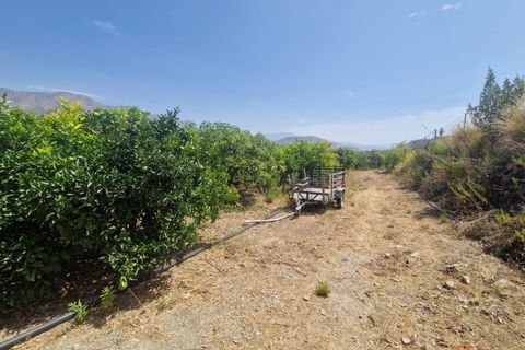 Finca i Molvizar, Granada, Molvizar - € 159.000 | Ref: MP600 - foto 5