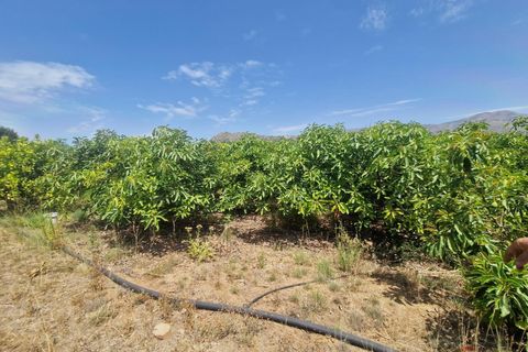 Finca i Molvizar, Granada, Molvizar - € 159.000 | Ref: MP600 - foto 6