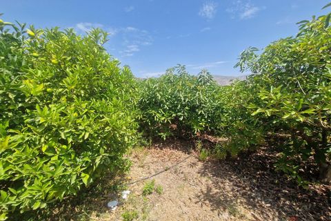 Finca i Molvizar, Granada, Molvizar - € 159.000 | Ref: MP600 - foto 7