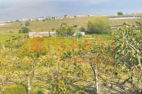 Villa i Alijo, Vila Real, Alijo - € 235.000 | Ref: SAFTI:005758 - foto 3
