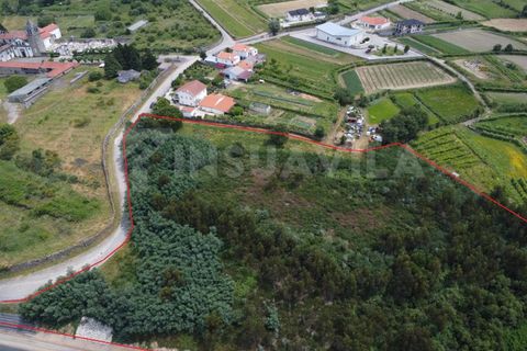 Helårsgrund i Valenca, Viana do Castelo, Valenca - € 180.000 | Ref: 2491 - foto 1