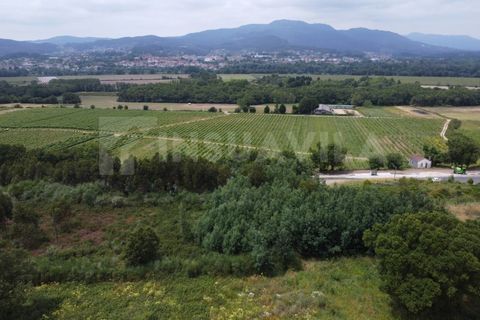 Helårsgrund i Valenca, Viana do Castelo, Valenca - € 180.000 | Ref: 2491 - foto 3