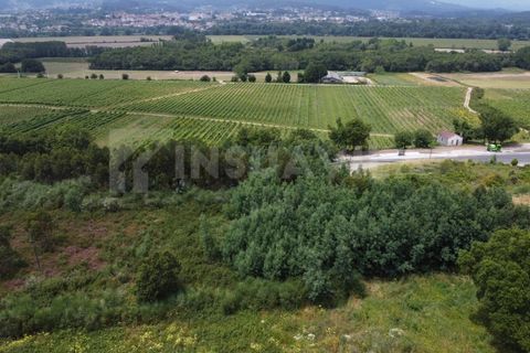 Helårsgrund i Valenca, Viana do Castelo, Valenca - € 180.000 | Ref: 2491 - foto 4