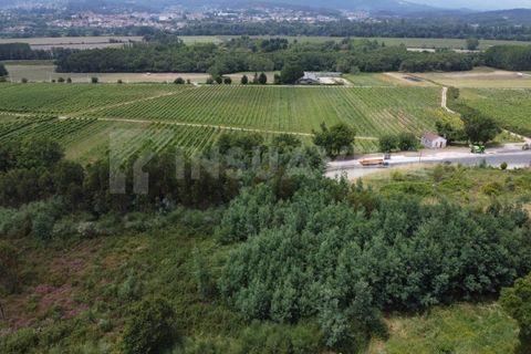 Helårsgrund i Valenca, Viana do Castelo, Valenca - € 180.000 | Ref: 2491 - foto 5