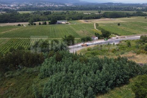 Helårsgrund i Valenca, Viana do Castelo, Valenca - € 180.000 | Ref: 2491 - foto 6