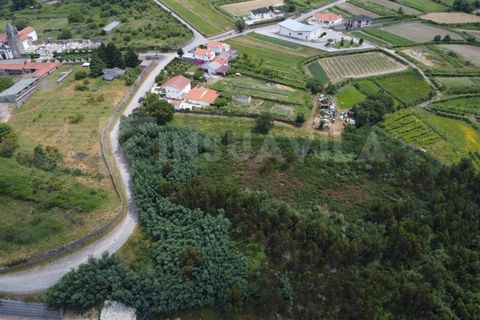 Helårsgrund i Valenca, Viana do Castelo, Valenca - € 180.000 | Ref: 2491 - foto 9