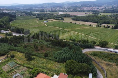 Helårsgrund i Valenca, Viana do Castelo, Valenca - € 180.000 | Ref: 2491 - foto 13
