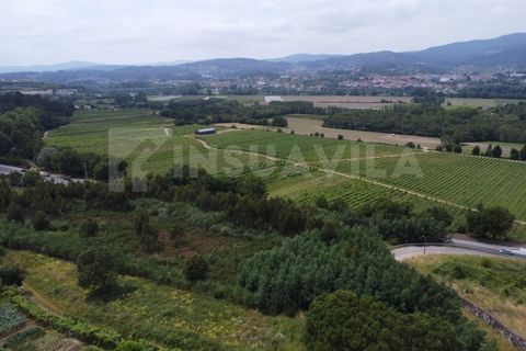 Helårsgrund i Valenca, Viana do Castelo, Valenca - € 180.000 | Ref: 2491 - foto 14