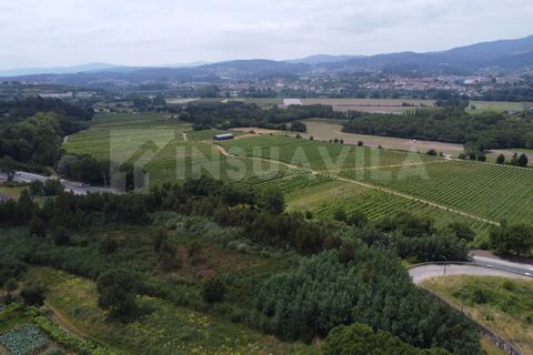 Helårsgrund i Valenca, Viana do Castelo, Valenca - € 180.000 | Ref: 2491 - foto 15