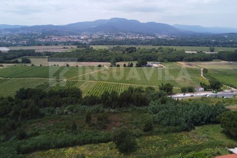 Helårsgrund i Valenca, Viana do Castelo, Valenca - € 180.000 | Ref: 2491 - foto 16