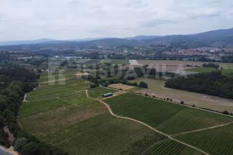 Helårsgrund i Valenca, Viana do Castelo, Valenca - € 180.000 | Ref: 2491 - foto 18