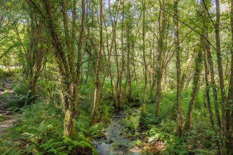 Farm hus i Begonte, Lugo, Begonte - € 120.000 | Ref: 2092 - foto 26