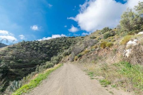 Terreno en Torrox, Malaga, Torrox - € 245.000 | Ref: TP072 - photo 2