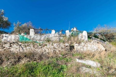 Terreno en Torrox, Malaga, Torrox - € 245.000 | Ref: TP072 - photo 3