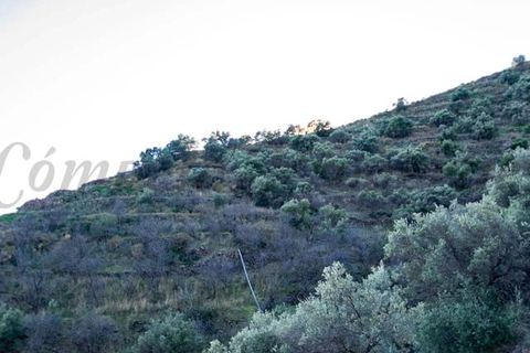 Terreno en Torrox, Malaga, Torrox - € 245.000 | Ref: TP072 - photo 6