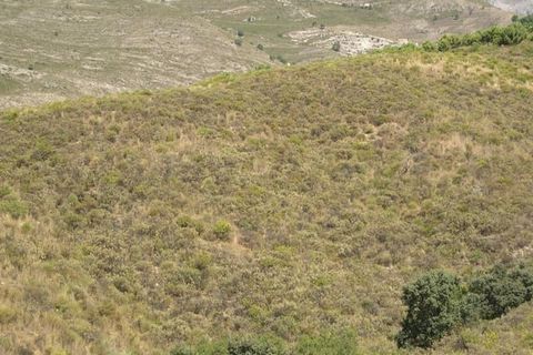 Terra a Sedella, Malaga, Sedella - € 107.000 | Ref: P016 - foto 2