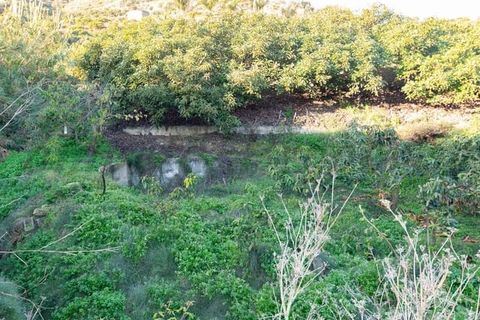 Grond in Torrox, Malaga, Torrox - € 91.000 | Ref: TP116 - foto 4
