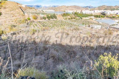 Terra em Torrox, Malaga, Torrox - € 87.000 | Ref: TP092 - foto 2
