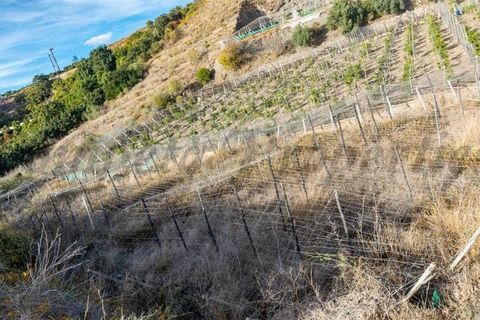 Terra em Torrox, Malaga, Torrox - € 87.000 | Ref: TP092 - foto 3
