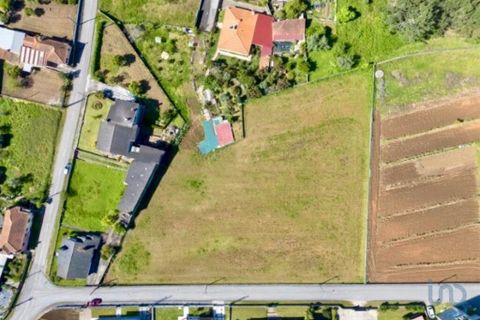 Tomt i Agueda, Aveiro, Agueda - € 110 000 | Ref: 126191 - foto 2